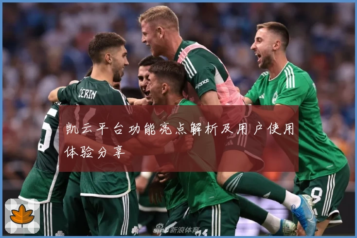 凯云平台功能亮点解析及用户使用体验分享