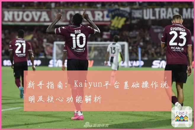 新手指南：Kaiyun平台基础操作说明及核心功能解析